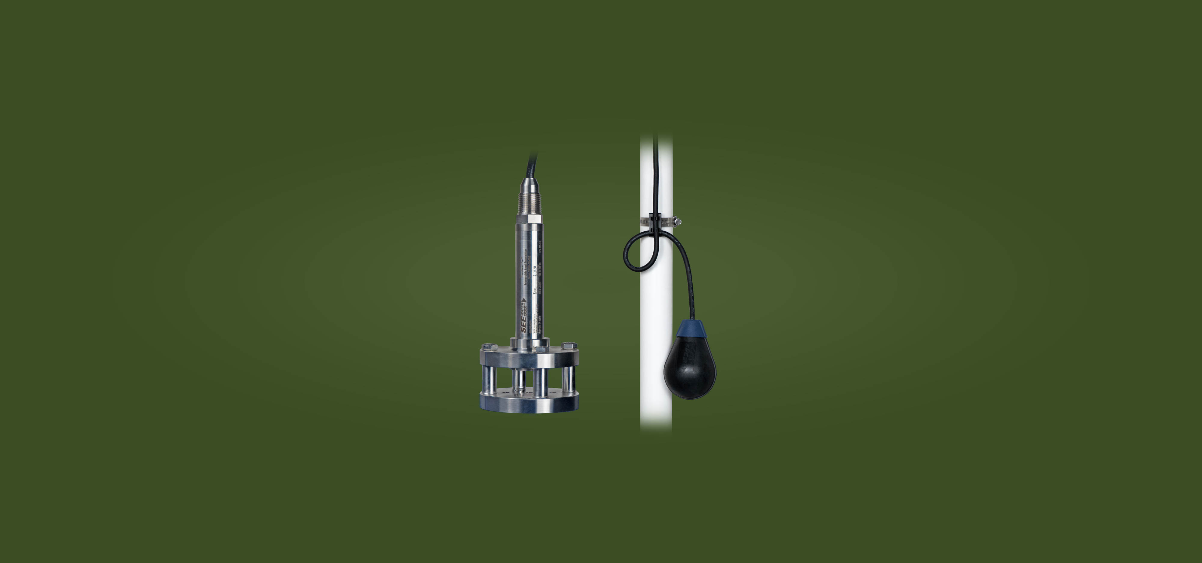 Transducer Pro™ Submersible Level Transmitter and Float Pro® Control Switch.