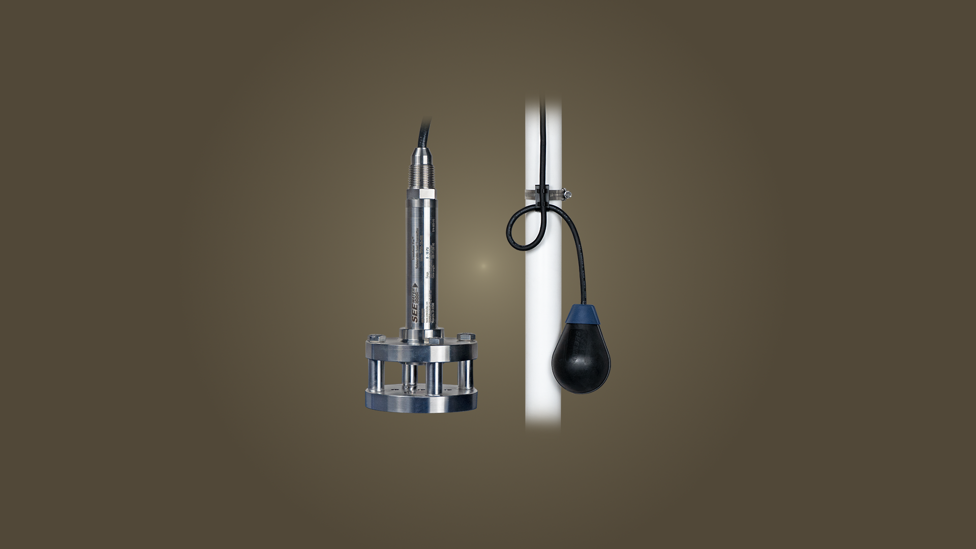 Transducer Pro™ Submersible Level Transmitter and Float Pro® Control Switch on brown background.