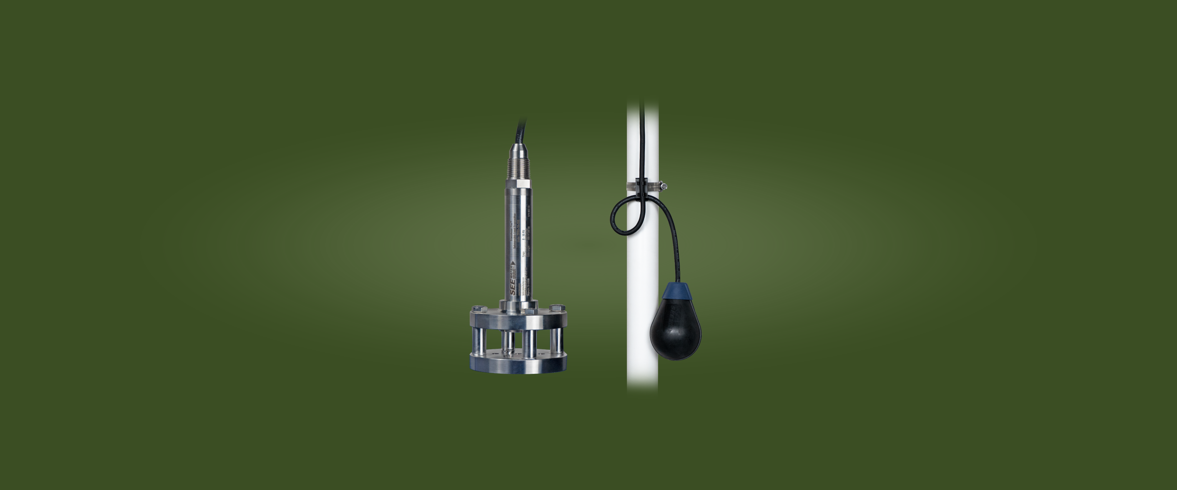 Transducer Pro™ Submersible Level Transmitter and Float Pro® Control Switch. 